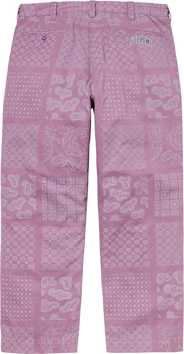 Paisley Grid Chino Pant view 7